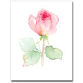 Floral Water Colors Pink Rose Petite Notes