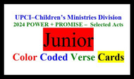056L) 2024 Laminated Junior Color Coded Verse Cards