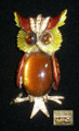 Art Rootbeer Jellybelly Owl Brooch