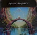 V.A.-Psychedelic Underground Vol.16-KRAUTROCK prog-NEW CD