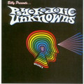 V.A.-Psychedelic Unknowns vol.8-60s Garage-NEW LP
