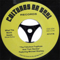 Fabulous Fugitives feat.Michael Sharkey-What the World Needs/You Made Me Cry-7"