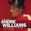 ANDRE WILLIAMS/Diplomats Of Solid Sound-APHRODISIAC-CD PROMO