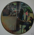 Pink Floyd-Ummagumma-NEW PICTURE LP BRAZIL