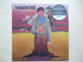THUNDERTREE -S/T-70s Psych hard Folk rock fuzz guitar-NEW LP GUERSSEN