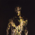 ◯ ‎– When Plants Turn Into Stones-POST ROCK-NEW CD
