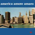 REMIGIO DUCROS & LUCIANO SIMONCINI-AMERICA AMORE AMARO-NEW LP