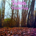 Twink-Think Pink-'70 UK Experimental,Prog Rock-NEW LP AKARMA WHITE