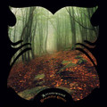 Arrowwood-Beautiful Grave-2013 Neofolk-NEW LP