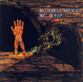 Big Sleep-Bluebell Wood-'71 UK Prog Rock-new LP