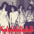 Cadenas-Nino Solitario/Rock Para Janis-'73 Argentina Hard Rock-NEW 7"