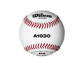 Wilson HS Practice Baseballs
