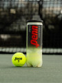 Penn Championship Extra Duty Tennis Balls