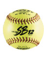 Dudley SB12 Softball - NFHS