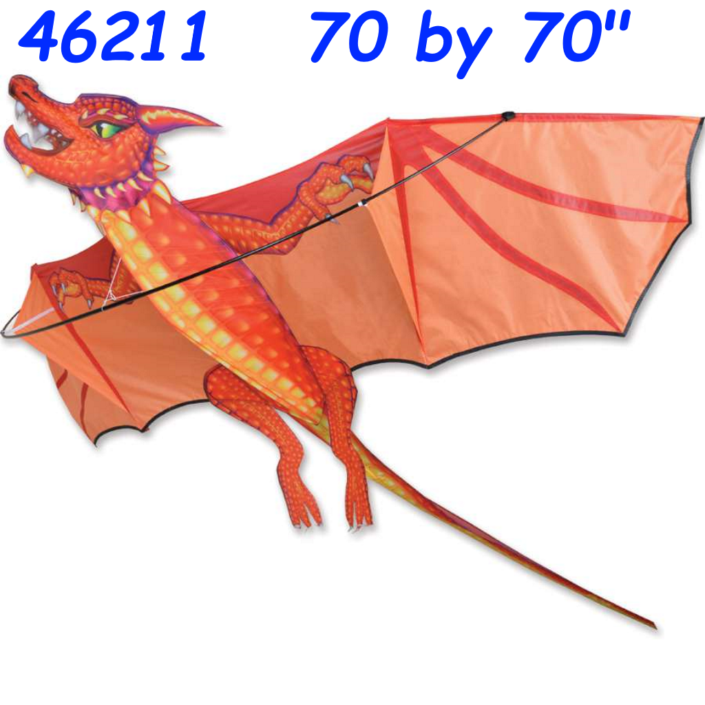 46211-3d-dragon-kite-emberscale-.png