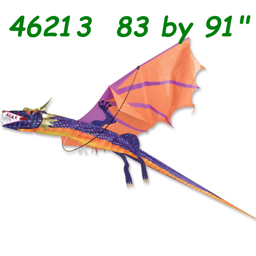 46213-3d-dragon-kite-sunset-.png