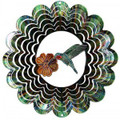 Hummingbird Green : Eycatcher