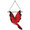 Cardinal 12": Garden Swingers (59034)