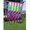 53214  Progressive Banner - Rainbow Cellon (53214)