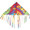 17106  Delta Fringe "Orbit-Rainbow" : Fun Flyer (17106)