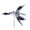 25118  Loon (Flying) 40"   Bird Spinners (25118)