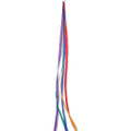6 ft. Rainbow  : Streamers