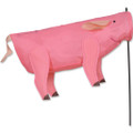 Pig  : Windicator