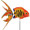 Flame Fish  ,  Aquatic Life Spinners (25441)