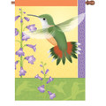 Rufous Hummingbird :     House Brilliance
