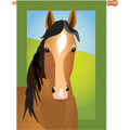 Silly Filly (Horse): Brilliance