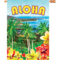 Aloha from Diamond Head :     House Brilliance