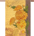 Chrysanthemum :     House Illuminated