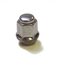 Nut 6502738