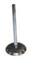 INTAKE VALVE 3.7L 02-06