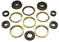 BEARING & SEAL KIT BK-NV1500