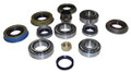 BEARING & SEAL KIT D30L-MASKIT