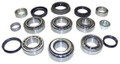 Master Overhaul Bearing & Seal Kit D35