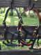 The finest padded miniature horse halters, made in USA