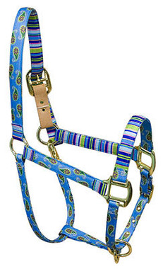 Shown with optional BreakAway Buckle, sold seperately
