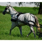 Shown here in full size horse, all the details are identical in the Mini Driving Harness
