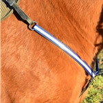 Beta Biothane Western Style Reflective GLO Breast Collar for Minis!