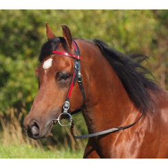 WESTERN BRIDLE (Full Browband) made from BETA BIOTHANE (ANY 2 COLOR COMBO)