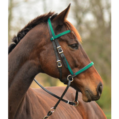 2 in 1 BITLESS BRIDLE made from BETA BIOTHANE (Any 2 COLOR COMBO)