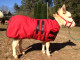 No getting out of this Mini Donkey Blanket, Field Tested!!