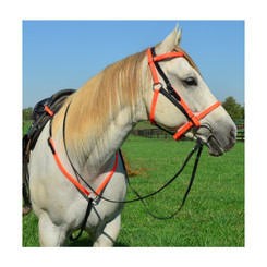 Quick Change HALTER BRIDLE with Snap On Browband made from BETA BIOTHANE (Mix N Match)