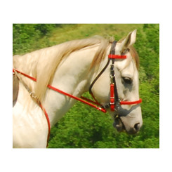 Traditional HALTER BRIDLE with BIT HANGERS made from BETA BIOTHANE (Mix N Match)