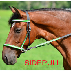 2 in 1 BITLESS BRIDLE made with REFLECTIVE DAY GLO Beta Biothane