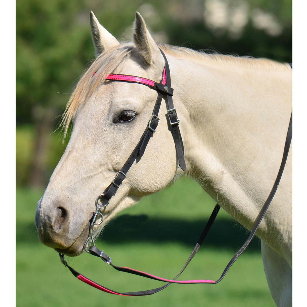 for covering with ribbon different sizes for horses Plain BioThane PVC browband 