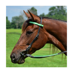 Snap On Browband WESTERN BRIDLE made with REFLECTIVE DAY GLO Biothane