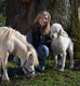 I am so fortunate to be able to communicate with all animals both large and small.  I have had the privilege of working with loving pet owners, equine owners, trainers and veterinarians.  I am blessed with an  understanding of symptoms and emotions which has helped to solve both medical and emotional challenges.  I look forward to the opportunity to assist you with connecting with your beloved family members both here and those that have crossed over the rainbow bridge.